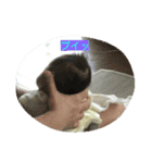 新生児 たんぽぽちゃん（個別スタンプ：15）