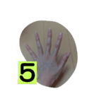 手(女性)（個別スタンプ：5）