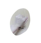 手(女性)（個別スタンプ：6）