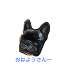 HOKU SUTA（個別スタンプ：2）
