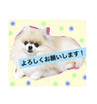 はぴたんたん（個別スタンプ：8）