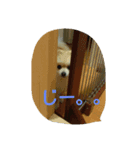 momoringo2（個別スタンプ：3）