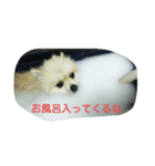 momoringo2（個別スタンプ：4）
