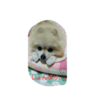 momoringo2（個別スタンプ：5）