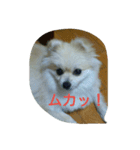 momoringo2（個別スタンプ：7）