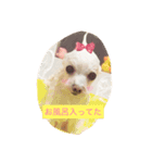バニラ  くん（個別スタンプ：2）