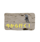 毎日のララとの日常（個別スタンプ：7）