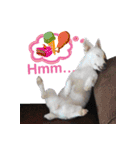 Gizmo the Ugly Jack set 2（個別スタンプ：5）