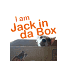 Gizmo the Ugly Jack set 2（個別スタンプ：13）