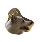 保護犬ミルちゃん（個別スタンプ：2）