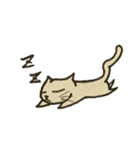 猫と兎（個別スタンプ：1）