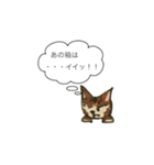猫と兎（個別スタンプ：5）