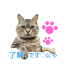 にゃんこのつくね（個別スタンプ：10）
