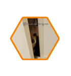MELON LOVE（個別スタンプ：5）