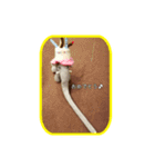 MELON LOVE（個別スタンプ：21）