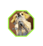 MELON LOVE（個別スタンプ：23）