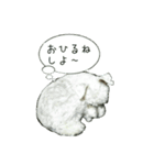 ポコのスタンプ（個別スタンプ：14）