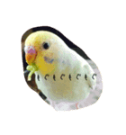 nico-mila stamp（個別スタンプ：3）