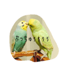nico-mila stamp（個別スタンプ：5）