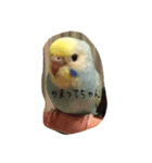 nico-mila stamp（個別スタンプ：6）