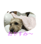 トトの助け。（個別スタンプ：1）