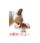 猫サンのスタンプ（個別スタンプ：4）