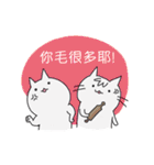 {NEW}Surprise！！Stupid cat coming！！NO.3！！（個別スタンプ：1）