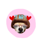 ルビィおじいちゃんのスタンプ（個別スタンプ：1）