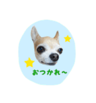 ルビィおじいちゃんのスタンプ（個別スタンプ：9）