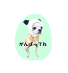 ルビィおじいちゃんのスタンプ（個別スタンプ：11）