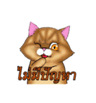 JewJeed Persian Girl（個別スタンプ：2）