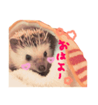 小さな住人たち 3（個別スタンプ：1）