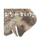 小さな住人たち 3（個別スタンプ：3）
