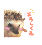 小さな住人たち 3（個別スタンプ：6）