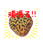 小さな住人たち 3（個別スタンプ：15）