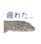 小さな住人たち 3（個別スタンプ：16）