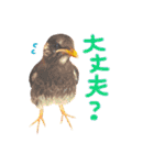 小さな住人たち 3（個別スタンプ：21）