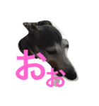 itagure6（個別スタンプ：4）