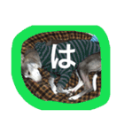 itagure6（個別スタンプ：17）