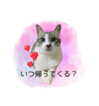 こてつくんのスタンプ（個別スタンプ：1）