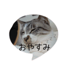 こてつくんのスタンプ（個別スタンプ：2）