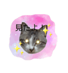 こてつくんのスタンプ（個別スタンプ：3）