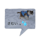 こてつくんのスタンプ（個別スタンプ：4）
