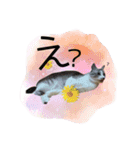 こてつくんのスタンプ（個別スタンプ：6）