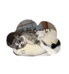 こてつくんのスタンプ（個別スタンプ：7）