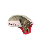 にゃんこたんず（個別スタンプ：3）