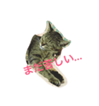 にゃんこたんず（個別スタンプ：6）