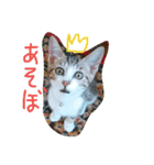 めいちゃんみいちゃん2（個別スタンプ：2）