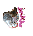 めいちゃんみいちゃん2（個別スタンプ：4）
