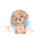 kai love（個別スタンプ：6）